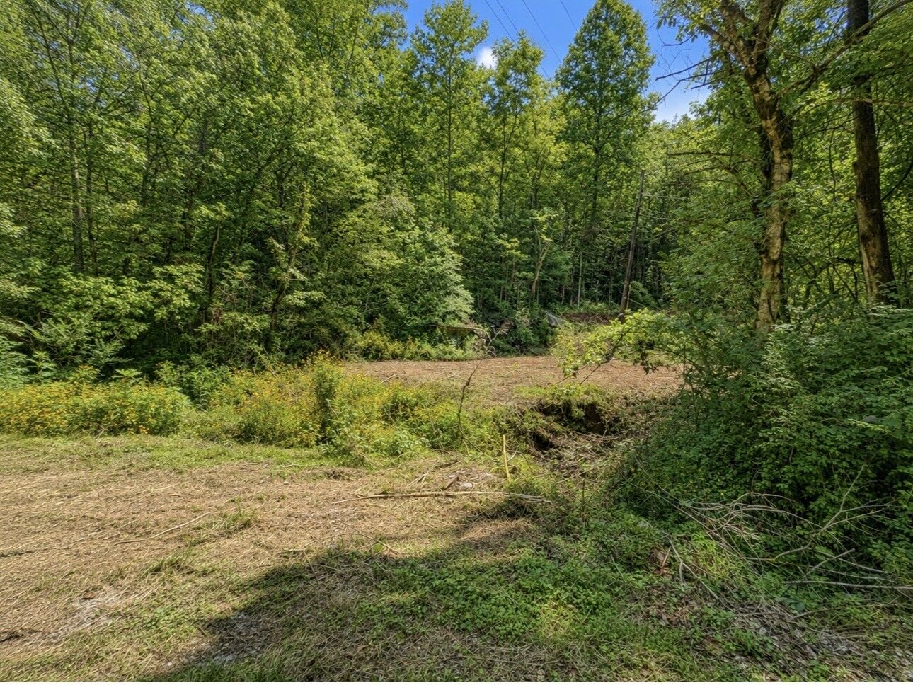 Property Photo:  465 Halls Hollow Rd  TN 37166 