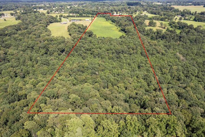 Property Photo:  350 Co Rd 405  AL 35057 