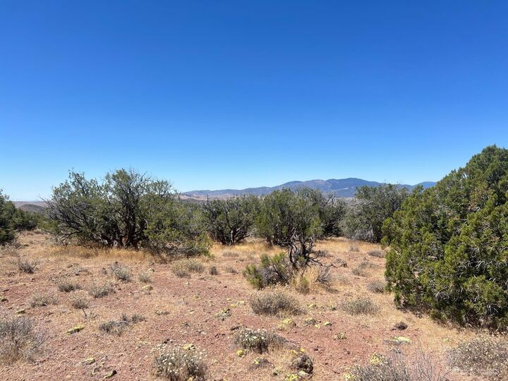 Property Photo:  0 Tanganda Road  CA 93561 