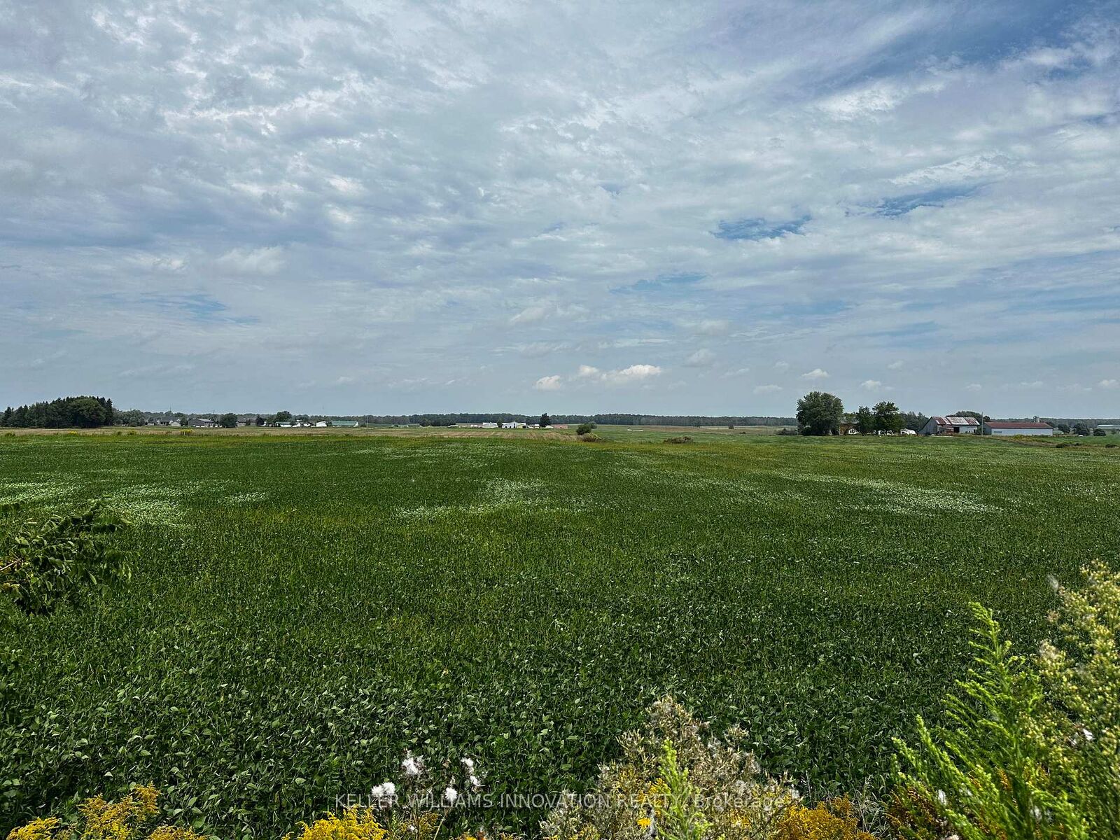 Property Photo:  1052 Walton Avenue N  ON N4W 3S2 