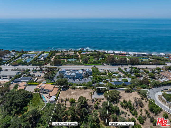 Property Photo:  3868 Puerco Canyon Rd  CA 90265 