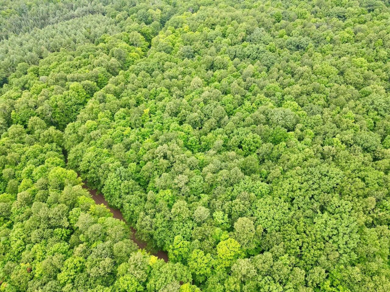 Property Photo: Lot 1 Crane Foot Lake Road WI 54435