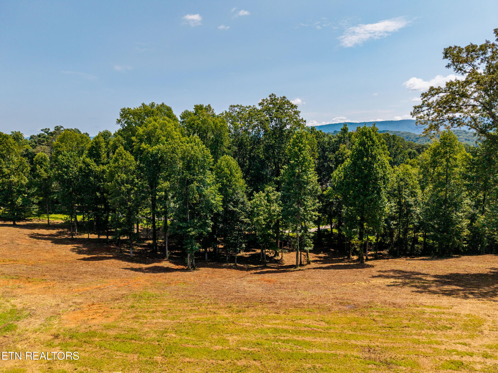 Property Photo: Little Best Rd TN 37803