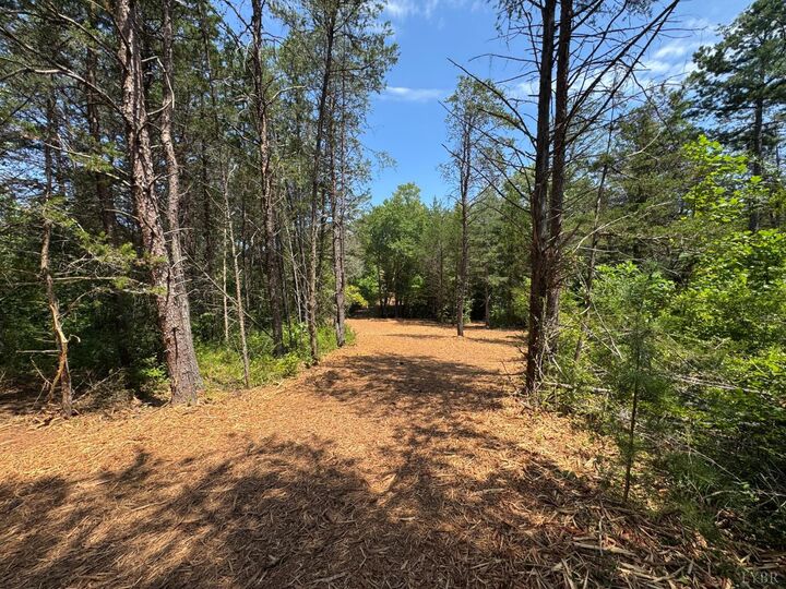 Property Photo:  0 Watt Abbitt Road  VA 24522 