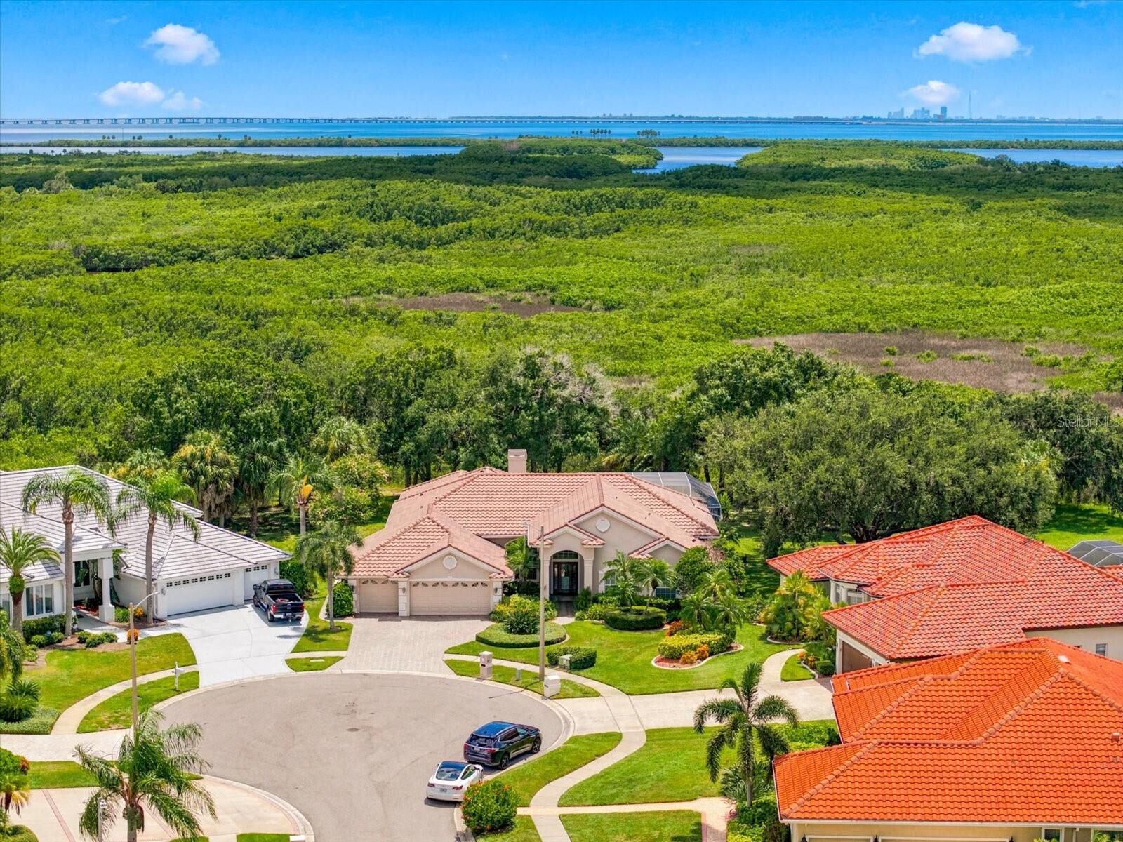 Property Photo: 9802 Mako Court FL 33615