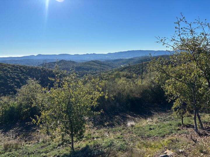 Property Photo: 6650 Starlight Lane CA 95246