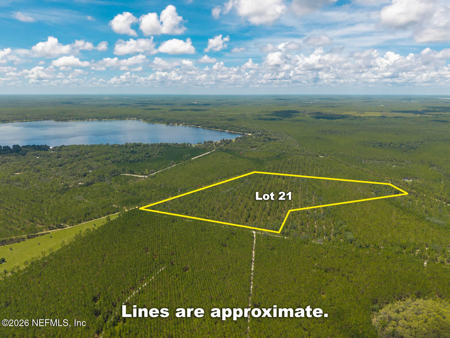 Property Photo:  Lot 21 Bellamy Road  FL 32140 