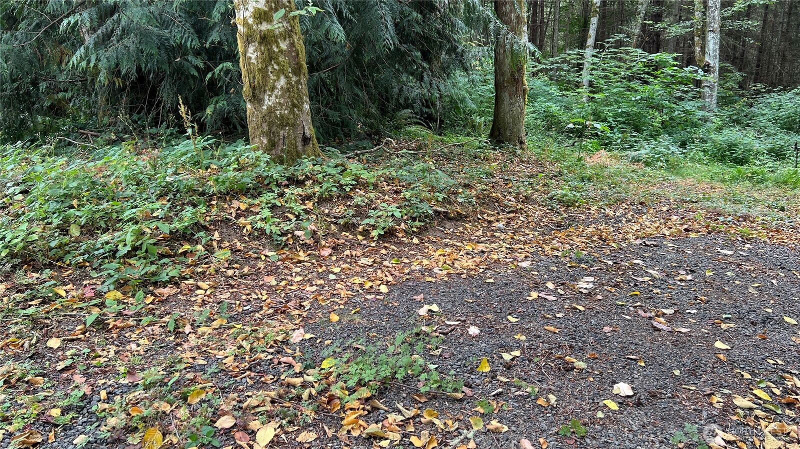 Property Photo: 5981 NE Spruce Dr WA 98340