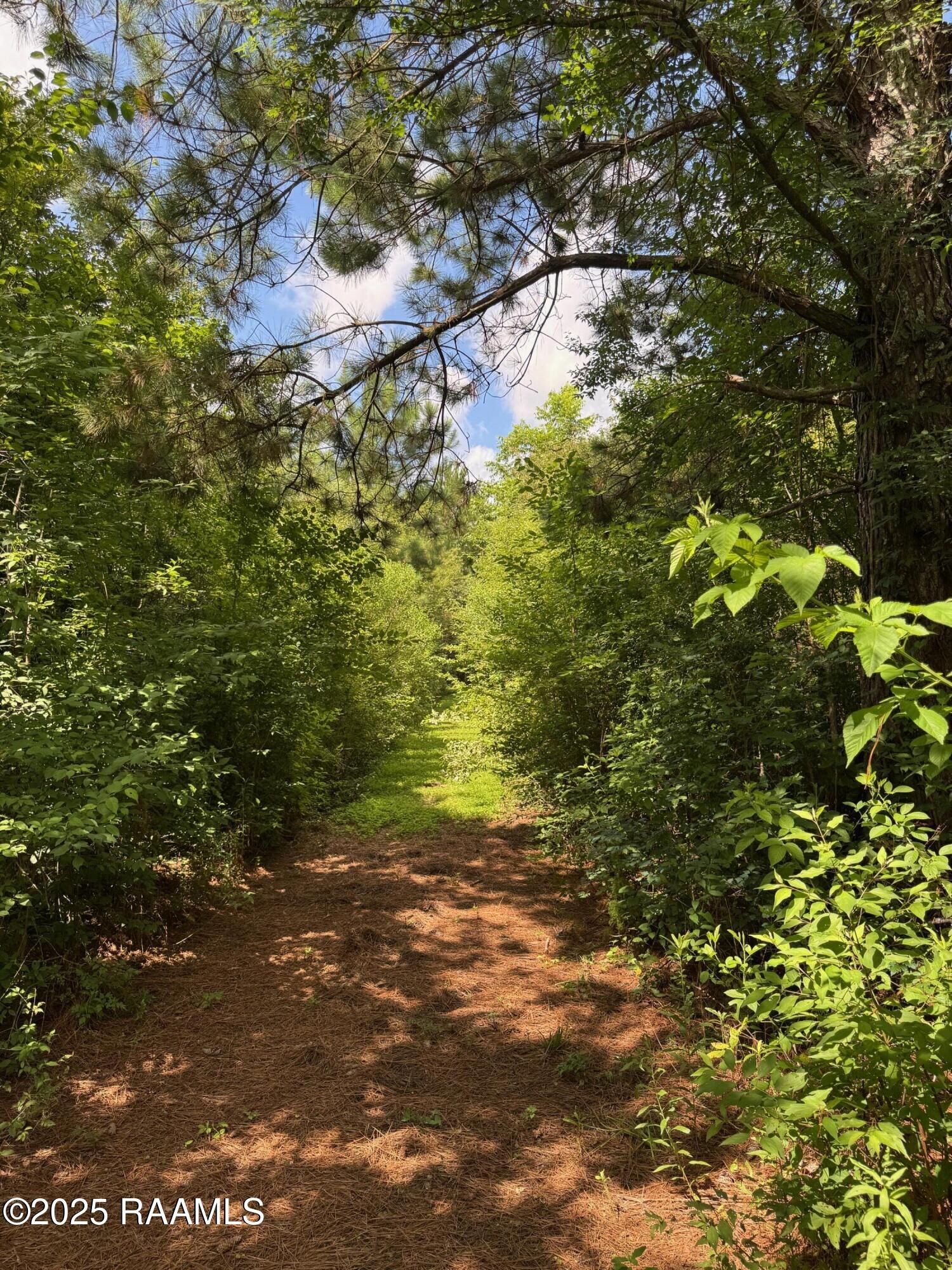 Property Photo:  Tbd Lot 3 Frozard Road 3  LA 70512 