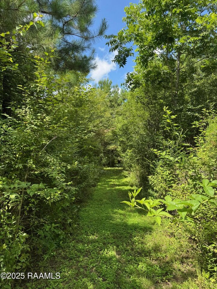 Property Photo:  Tbd Lot 4 Frozard Road 4  LA 70512 