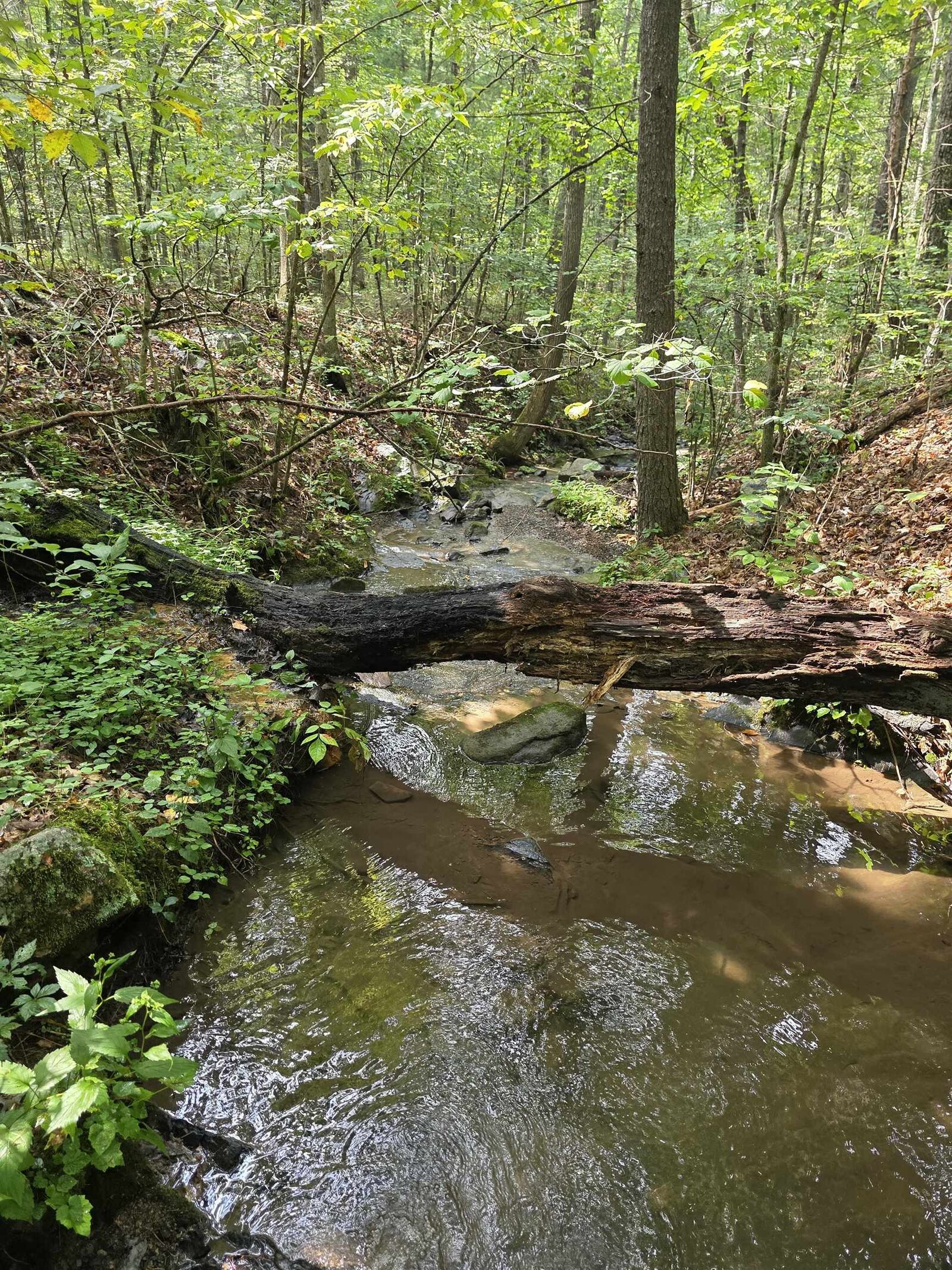 Property Photo: 574 Mountain Slope Ln VA 22652