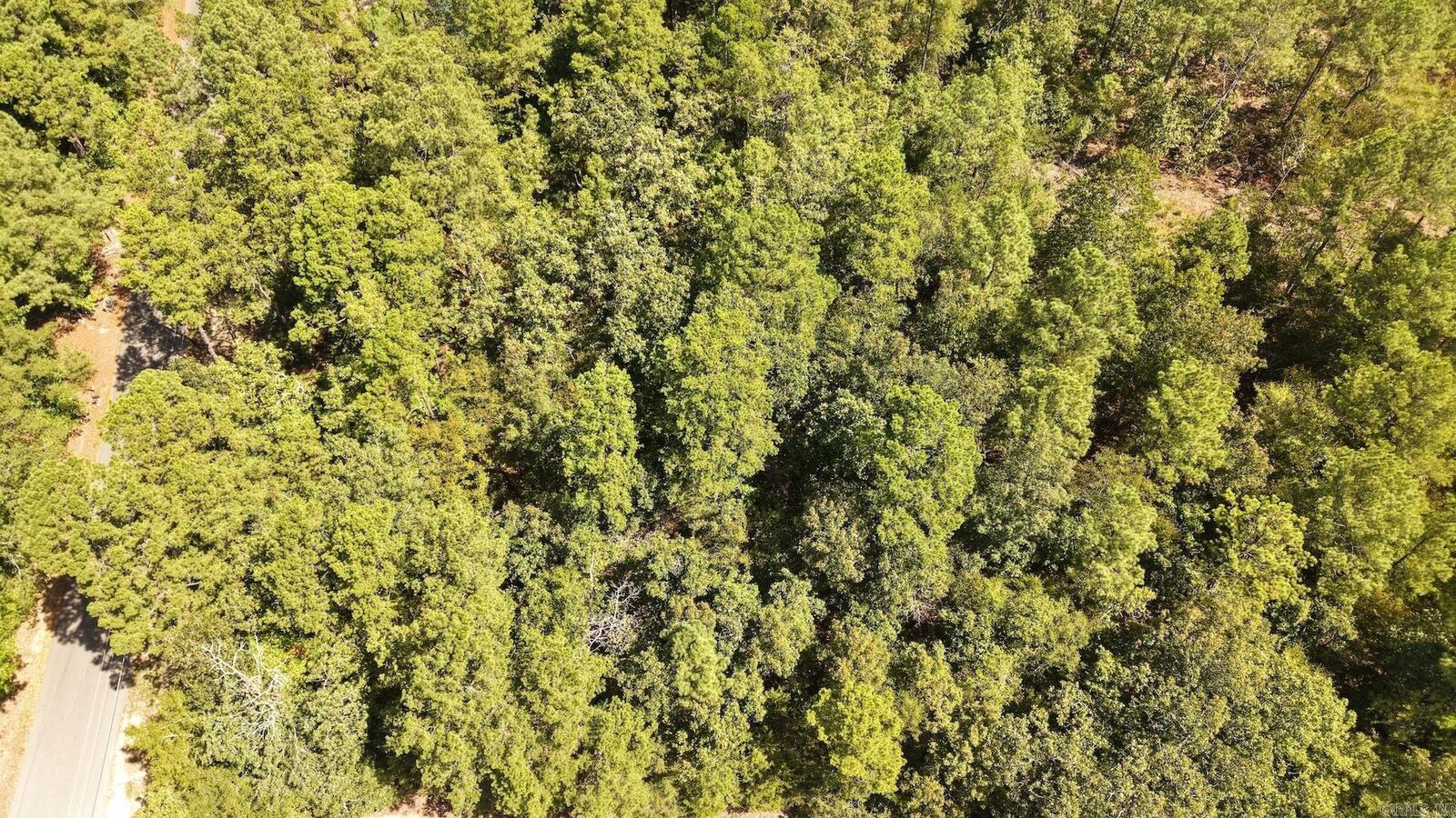 Property Photo: 0 Gold Nugget Loop AR 71913