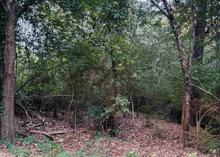 Property Photo:  Lot 23 Lee Summit Dr.  AR 72202 
