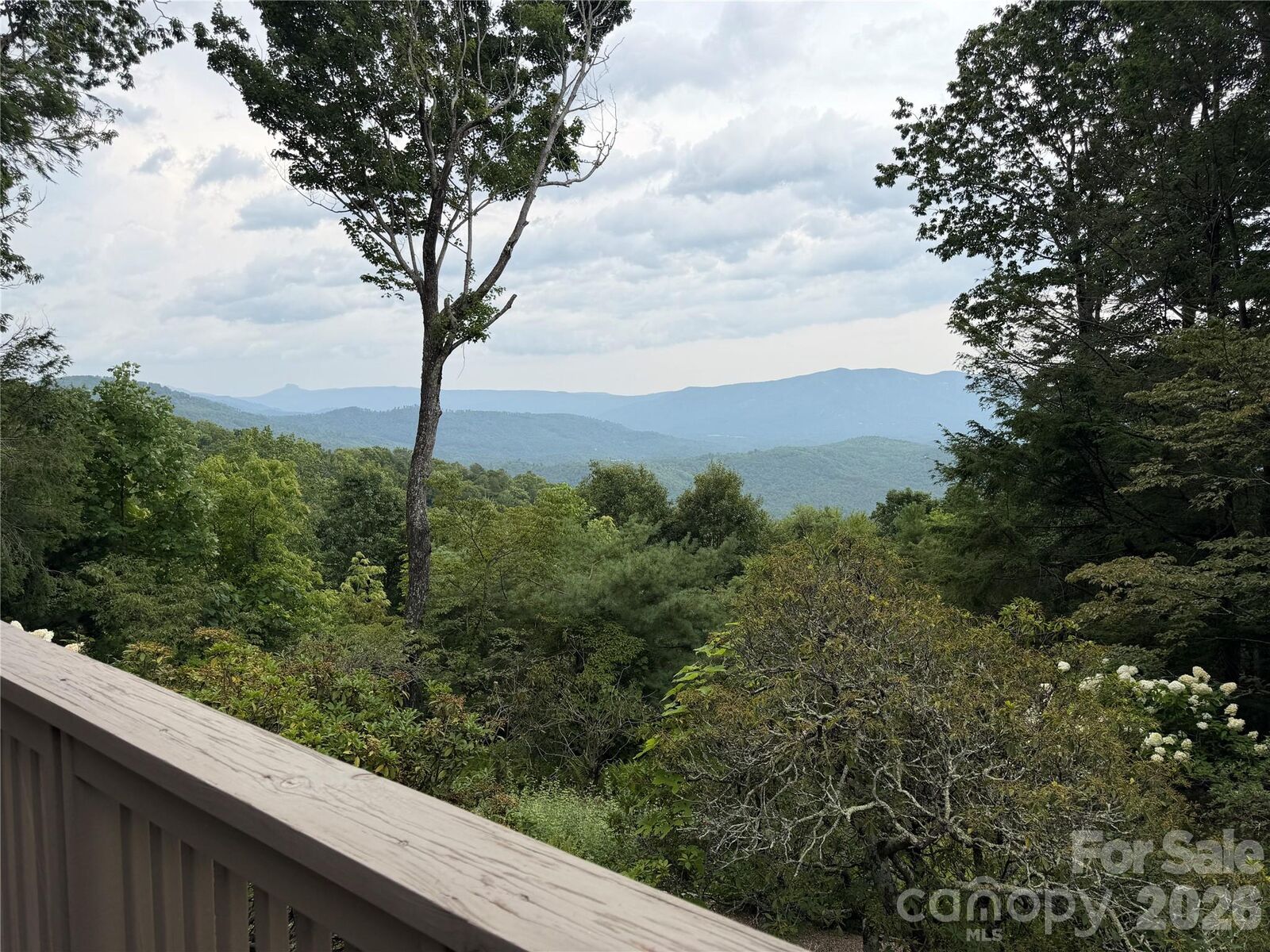 Property Photo: 7795 Hwy 226A Highway NC 28749