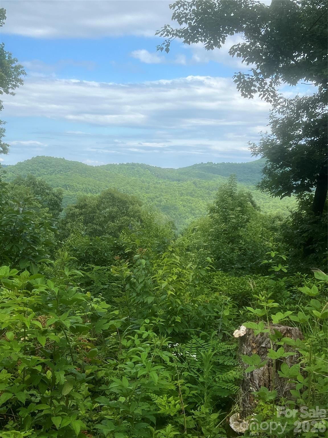 Property Photo:  71, 72, 73 High Peak Road  NC 28792 