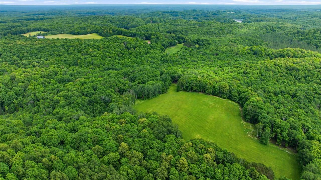 Property Photo:  Brush Creek Road  WI 54451 