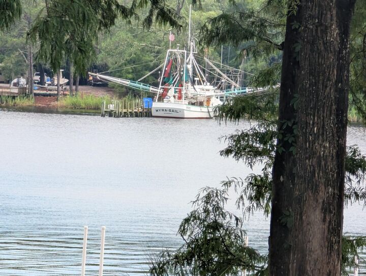 Property Photo:  204 Regatta Drive  FL 32578 