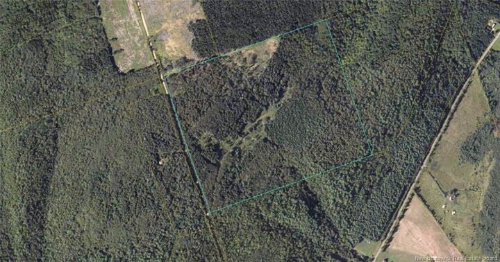 Property Photo:  Lot South Gowland Mountain  NB E4Z 2J3 
