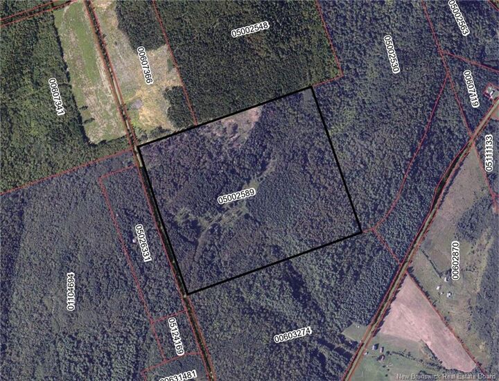 Property Photo:  Lot South Gowland Mountain  NB E4Z 2J3 