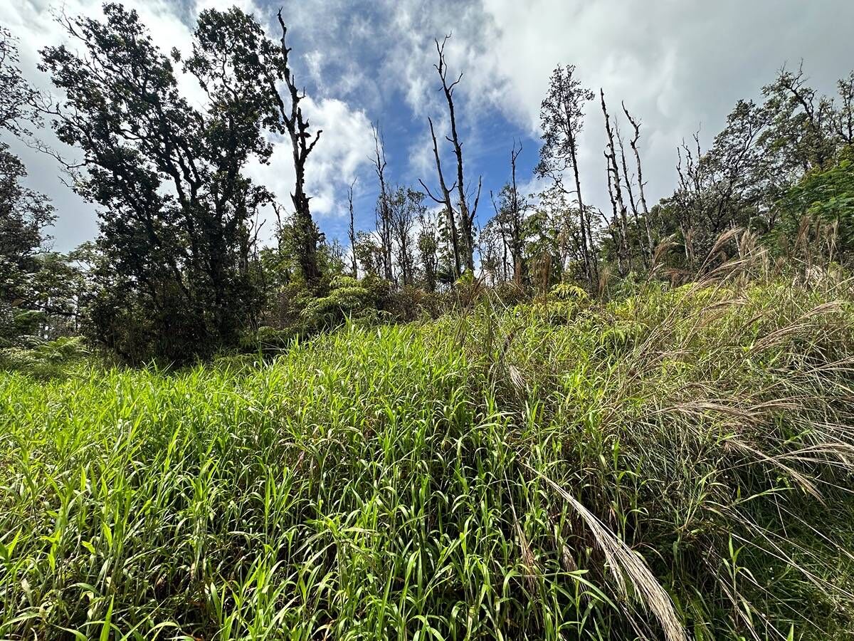 Property Photo:  Road 3 (Hopue)  HI 96771 