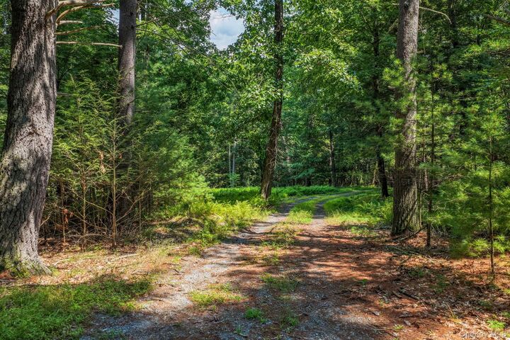 Property Photo:  Lot 55.1 Swanerbury Road  NY 12737 