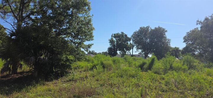 Property Photo:  Chamrade Road  FL 34288 
