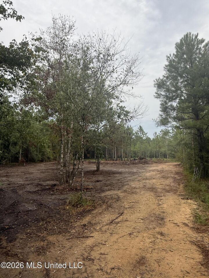 Property Photo: Nhn Dap Road MS 39562