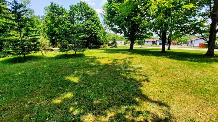 Property Photo:  8 Acres, Third Street  MI 49675 