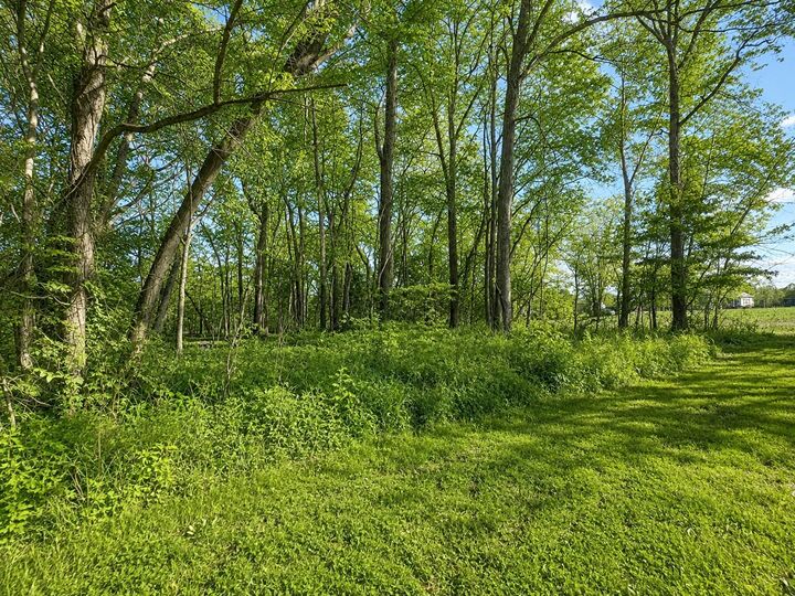 Property Photo:  0 Batchelor St  TN 37043 