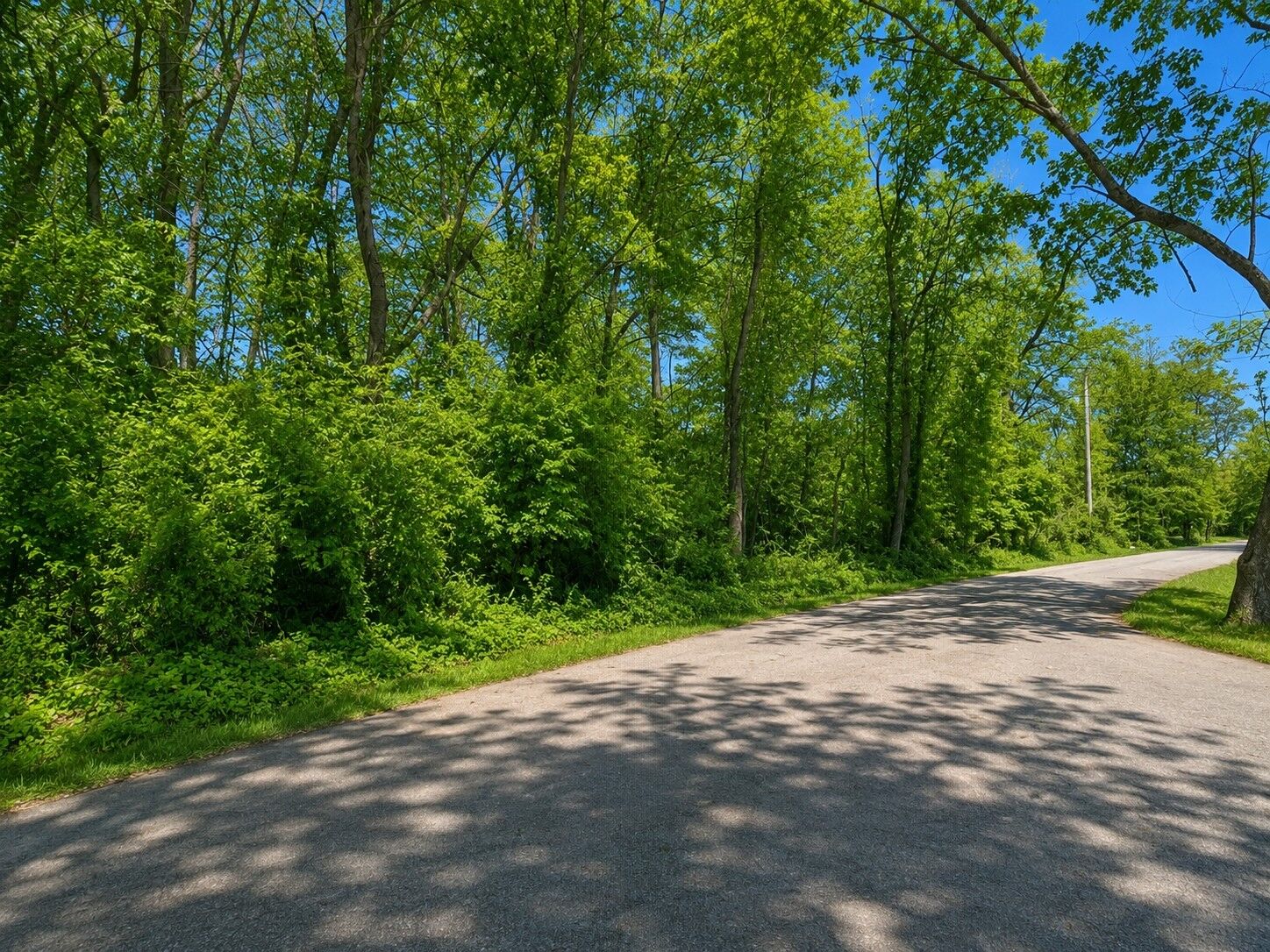 Property Photo:  5156 Batchelor St  TN 37043 
