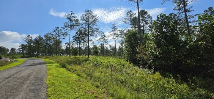 Property Photo:  Lot 65 High River Landing  GA 30540 