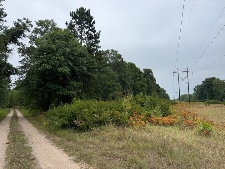 Property Photo: 10082 Legionville Road MN 56401
