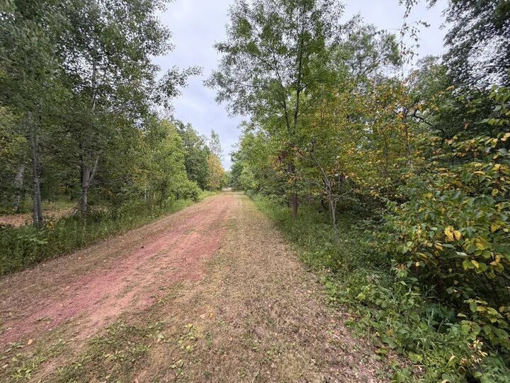 Property Photo: Lot 2 Whitetail MN 56441
