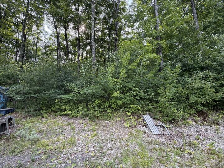Property Photo:  N4260 W Tamarack Lake Road  MI 49969 