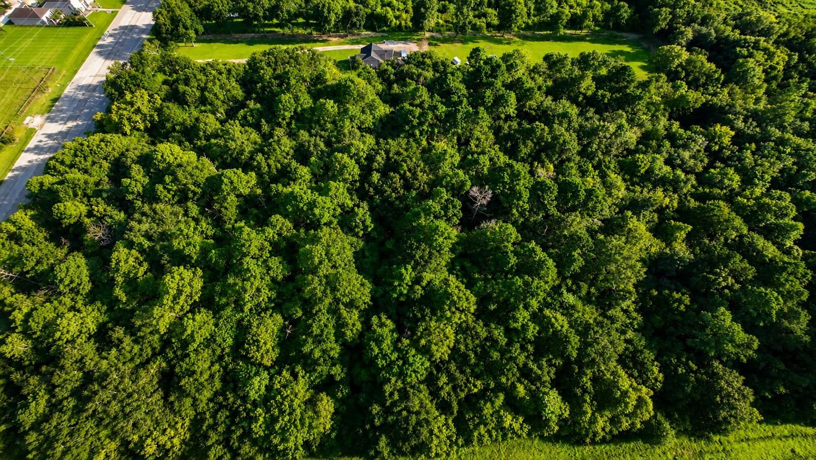 Property Photo: Tbd S Major Dr TX 77707