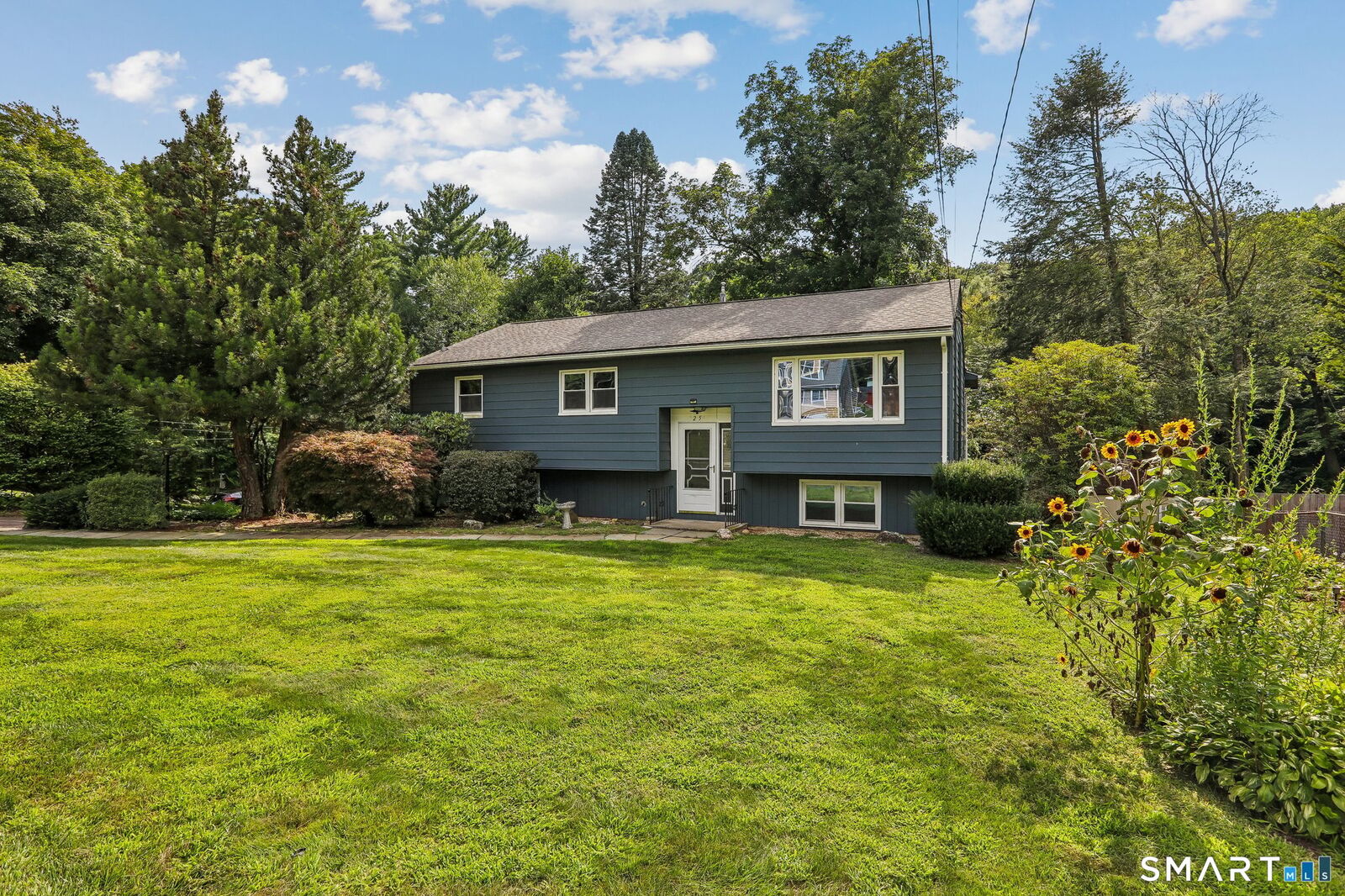 Property Photo:  25 Woodbury Drive  CT 06811 