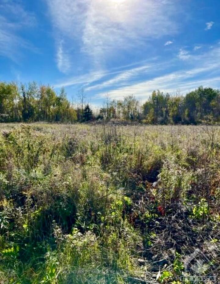 26 Honey Bee Grove — photo 1
