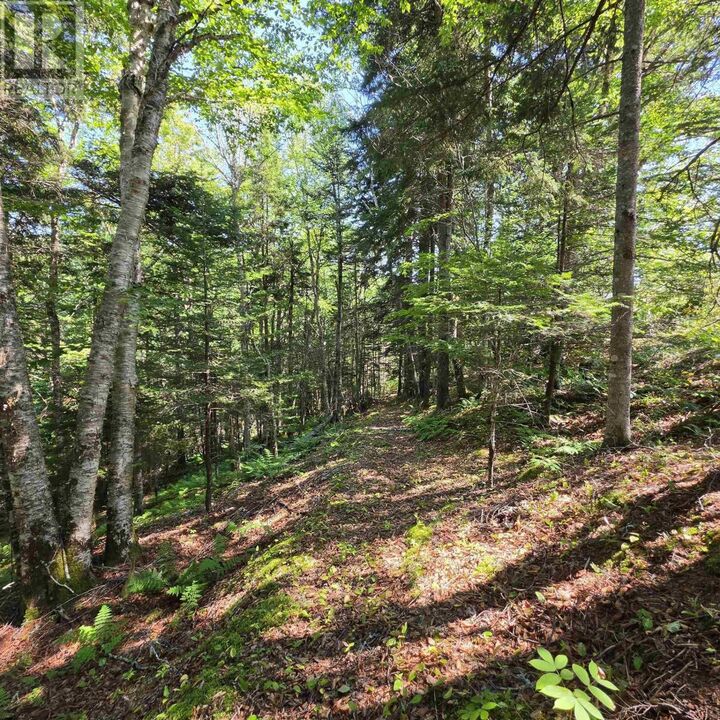 Property Photo: 72 North Greville Road NS B0M 1S0