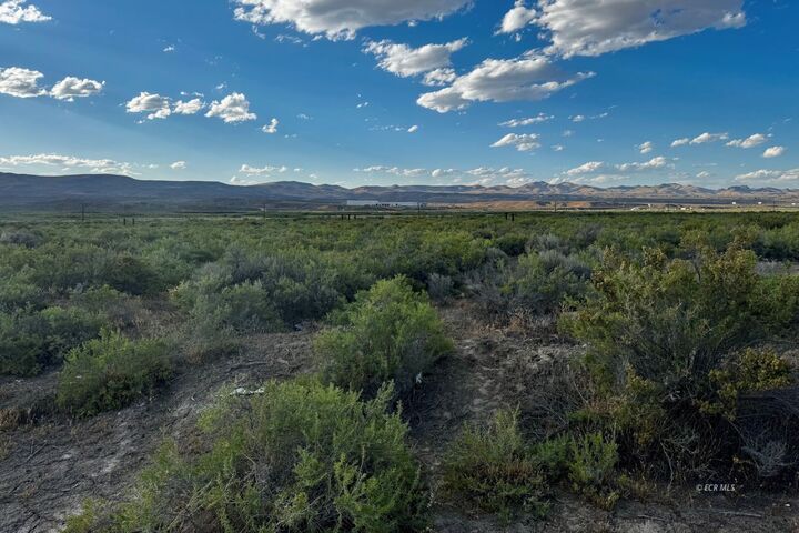 Property Photo:  Tbd Sulphur Spring Street  NV 89801 
