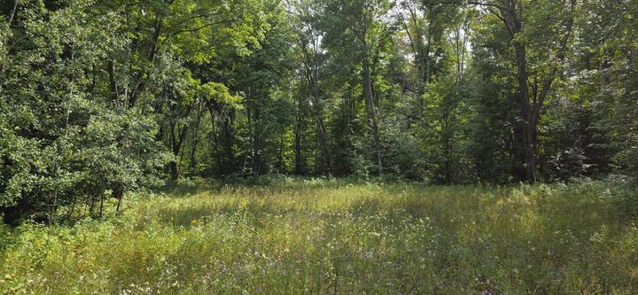 Property Photo:  Tbd Grass Lake Trl  MI 49780 