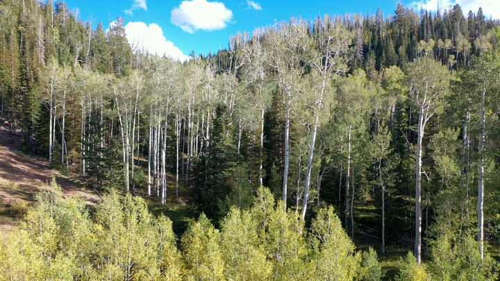 Property Photo:  371 Acres Dry Lakes Rd  UT 84719 