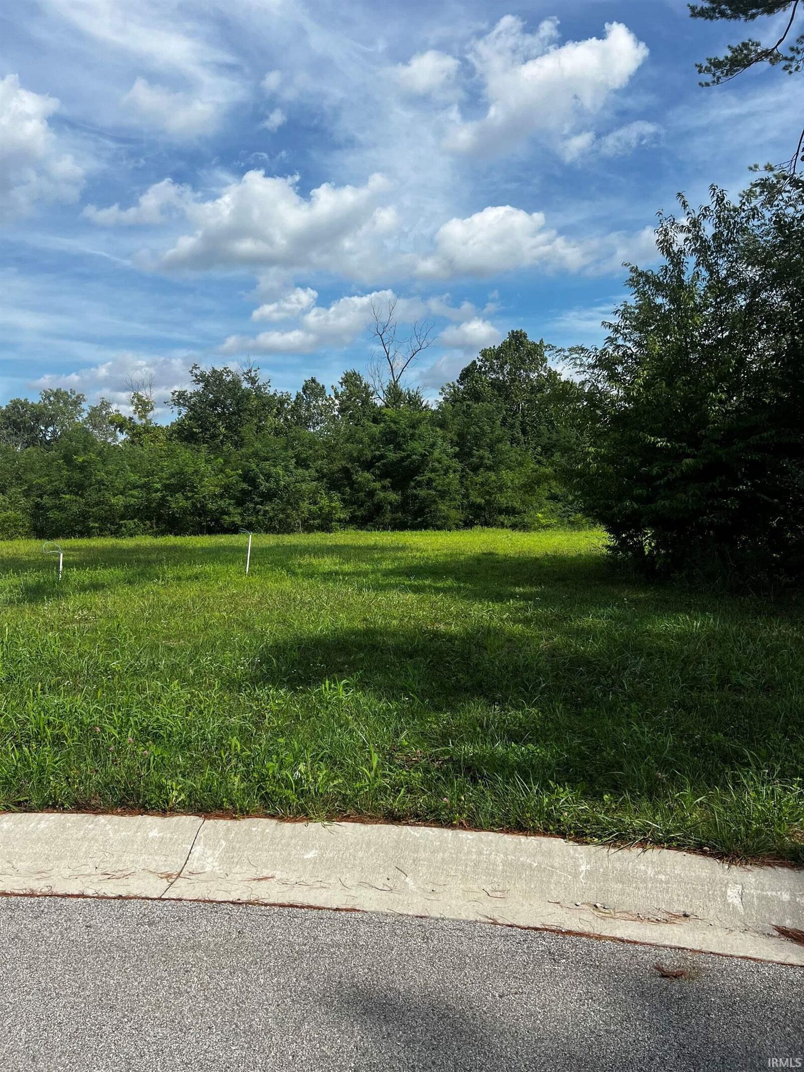 Property Photo:  609 Skillet Avenue  IN 46748 