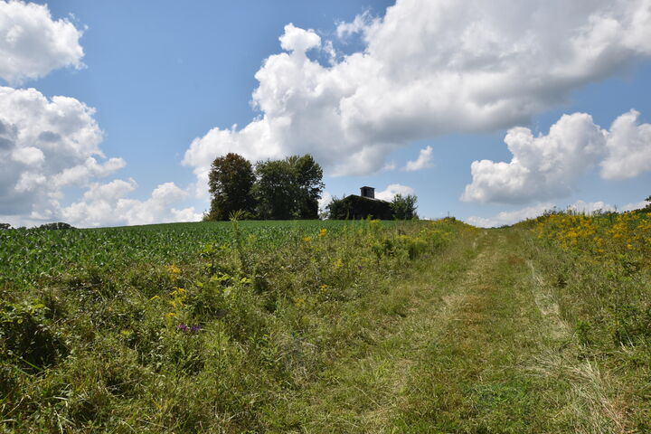 Property Photo: 0 Beechy Creek Road 0 KY 41093