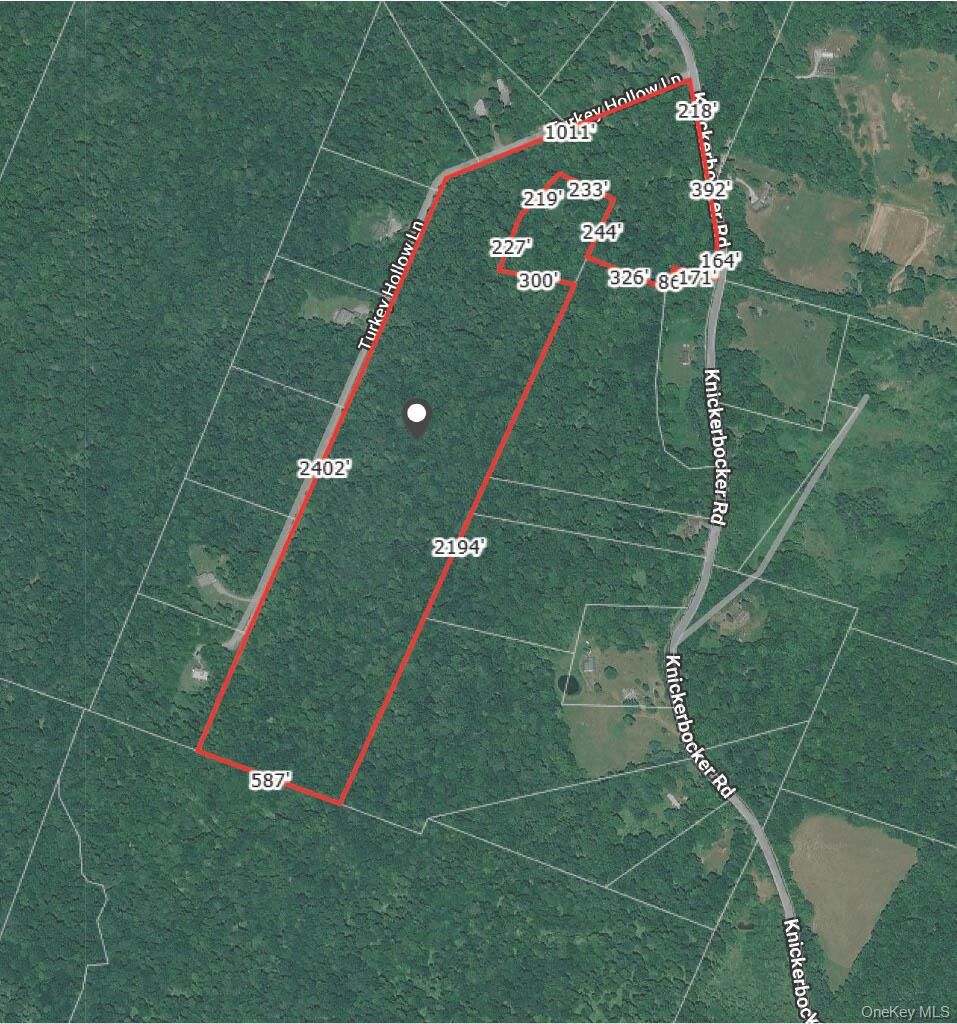 Property Photo:  Knickerbocker Road  NY 12758 