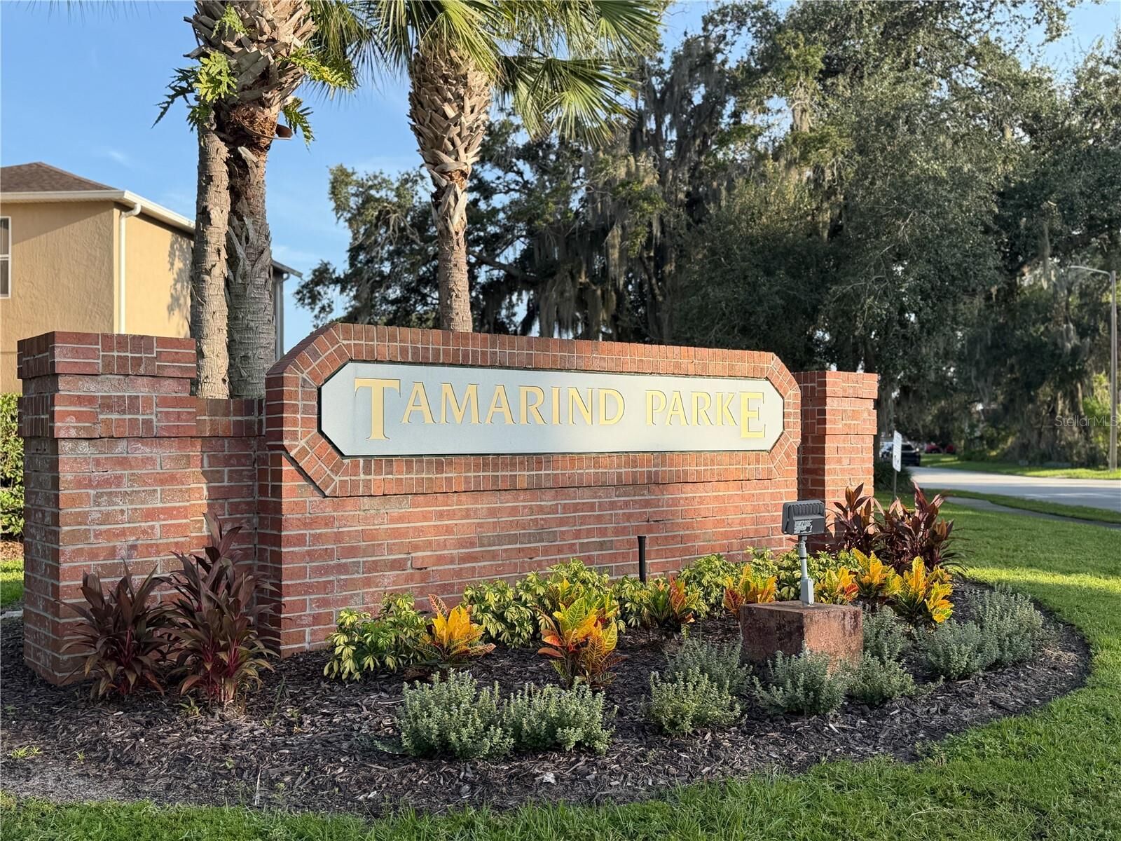 Property Photo:  443 Marlberry Leaf Avenue  FL 34758 