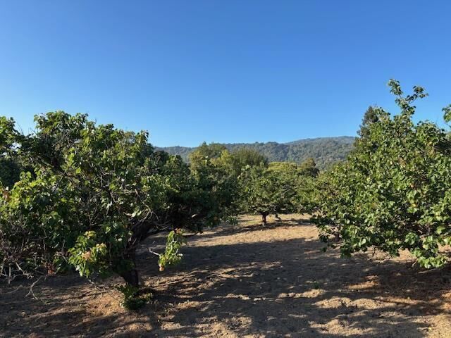 Property Photo:  25900 Vinedo  CA 94022 