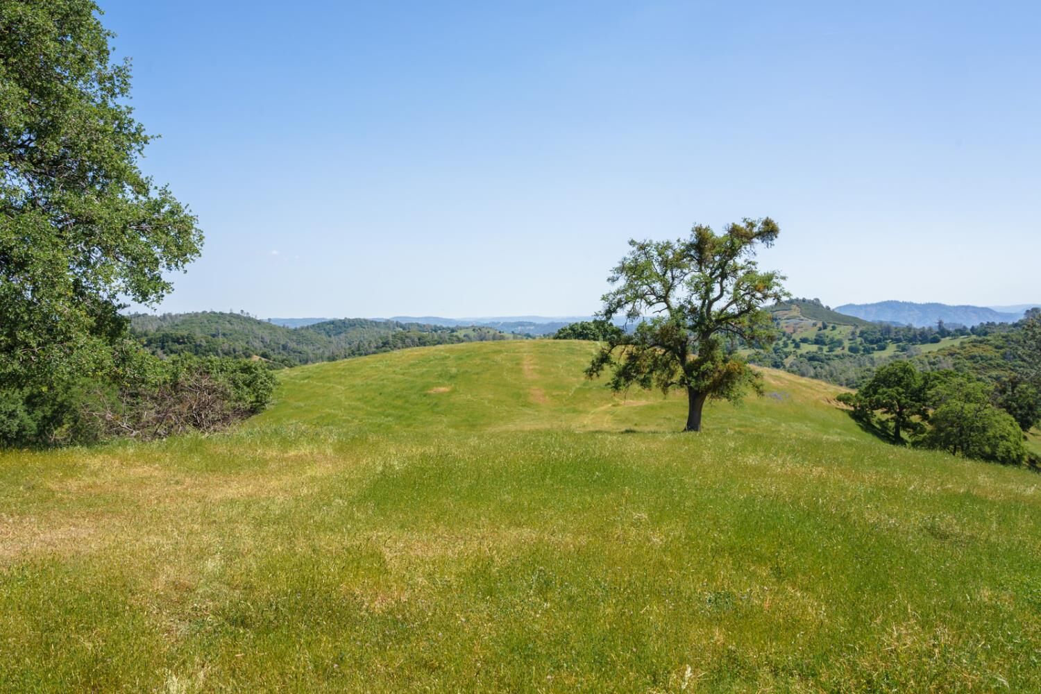 Property Photo:  60 S Petersburg  CA 95252 