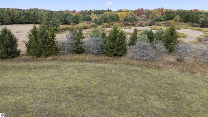 Property Photo:  V/L 90th Avenue  MI 49631 