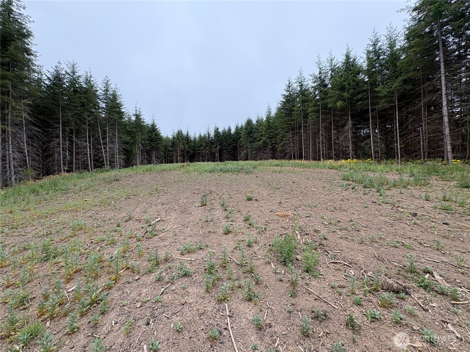 Property Photo:  1161  Thimbleberry Drive  WA 98611 
