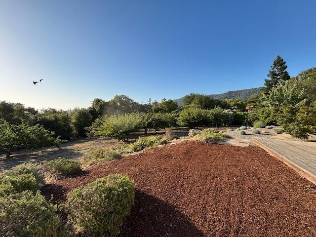 Property Photo:  25900 Vinedo  CA 94022 